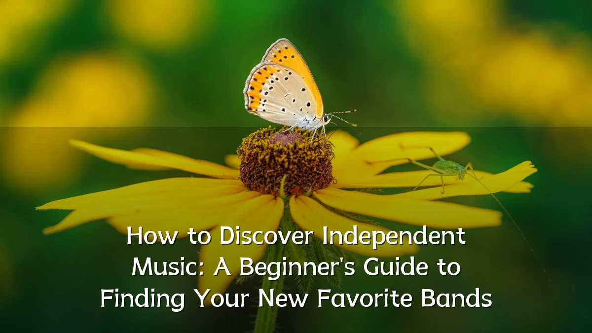 How to Discover Independent Music: A Beginner's Guide to Finding Your New Favorite Bands